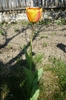 18 aprilie 2010