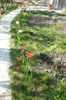 18 aprilie 2010