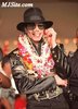 mjj8