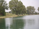 lacul bellaria 2009 august 022