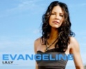 Evangeline Lilly Wallpaper #6