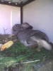 Imag0049