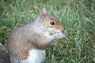 IMG_0615