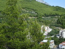 DSC06961 - Copy