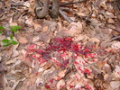 DSC03642