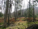 DSC03657