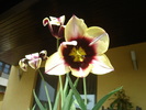 DSC07743