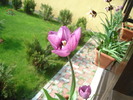 DSC07664
