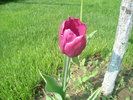 DSC07665