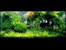 foto14_220