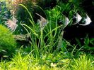 foto15_221