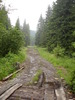 DSC02024
