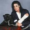 mj animale