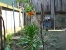 DSC08670