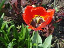 DSC08658