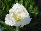 DSC08660