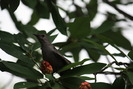 IMG_2869