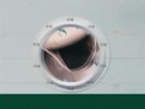 bscap0310