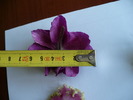 P1240823