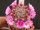 DSC07727