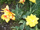 Gr 2010 002