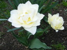 Gr 2010 015