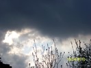 100_5366
