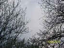 100_5372