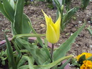 DSC00820