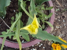 DSC00821