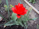 DSC00822