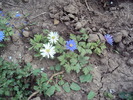 DSC00829