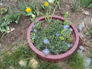 DSC00828