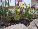 DSC00863