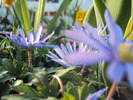 DSC00864