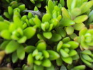 DSC00865