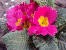 DSC00870