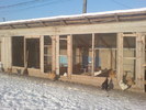 YNJESHPNUBHUYSKUZPL