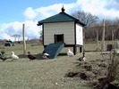 Cage 6