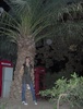 HPIM0371