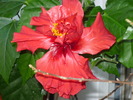 P1020526