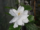 P1020604