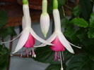 P1020612