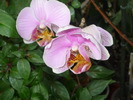 P1020633