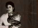 mjmichaeljackson1061362_1024_768