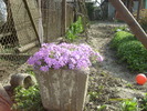 flox