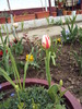 DSC01029