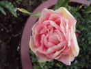 DSC01030