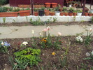 DSC01031