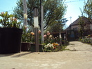 DSC01035